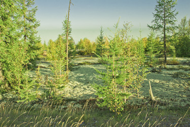 Similar image 6725569