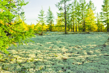 Similar image 6725576