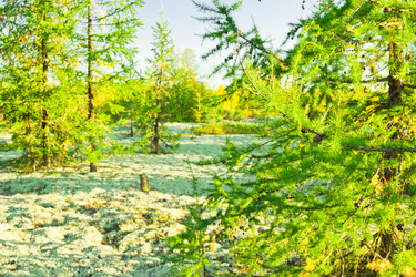 Similar image 6725578