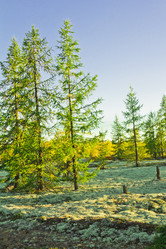 Similar image 6725582