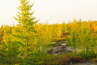 Similar image 6725586