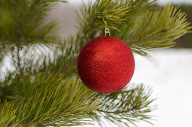 Similar image 6725635