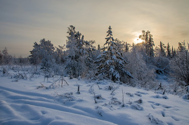 Similar image 6725642