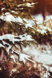 Similar image 6725816