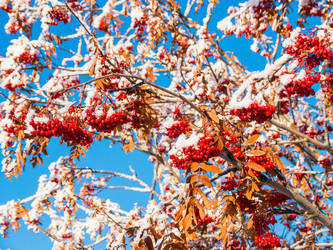 Similar image 6725821