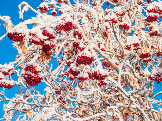 Similar image 6725822