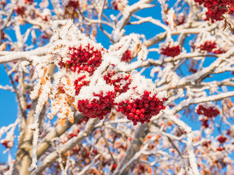 Similar image 6725823