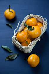 Similar image 6726066