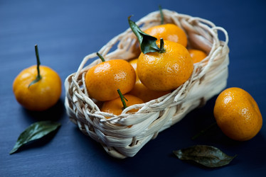 Similar image 6726068