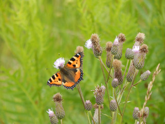 Similar image 6726369