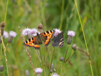 Similar image 6726370