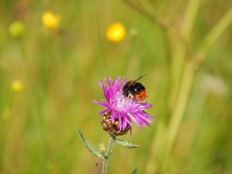 Similar image 6726371