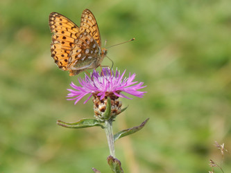 Similar image 6726372