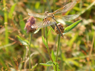 Similar image 6726496