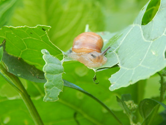 Similar image 6726511