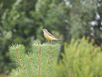 Similar image 6726516