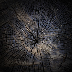 Similar image 6726518