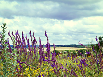 Similar image 6726524