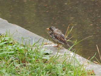 Similar image 6726530