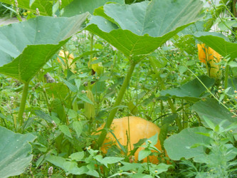 Similar image 6726532