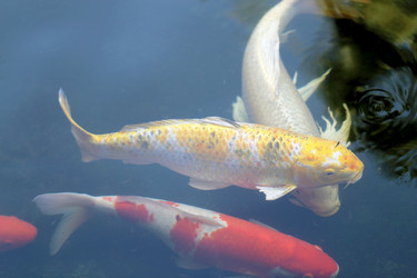 Similar image 6726538