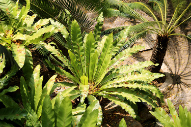 Similar image 6726540