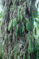 Similar image 6726543