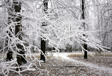 Similar image 6743330