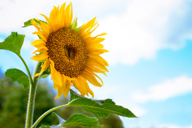 Similar image 6743366