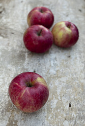 Similar image 6743495