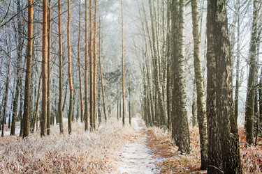 Similar image 6743528