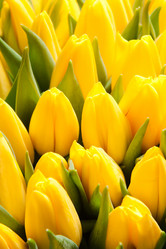 Similar image 6743556