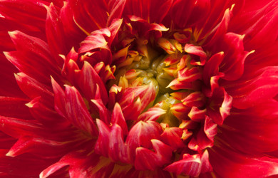 Similar image 6743561