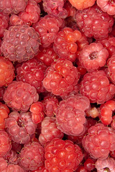 Similar image 6743562