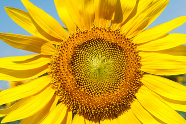 Similar image 6743571