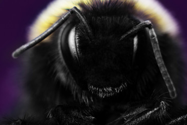 Similar image 6743574