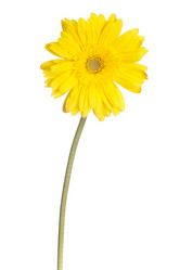 Similar image 6743575