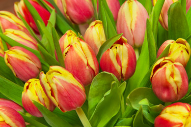 Similar image 6743576