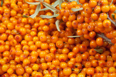 Similar image 6743578