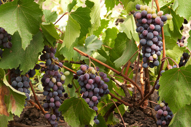 Similar image 6743580