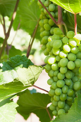 Similar image 6743582