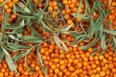 Similar image 6743590