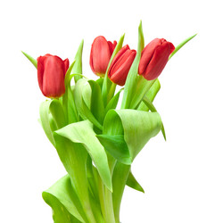 Similar image 6743591