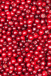 Similar image 6743596