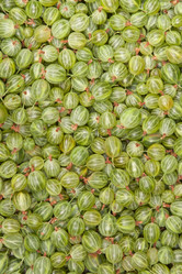 Similar image 6743597