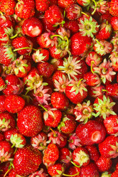 Similar image 6743604