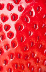 Similar image 6743606