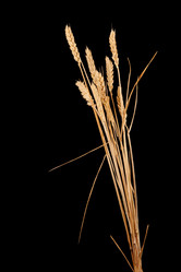 Similar image 6743607