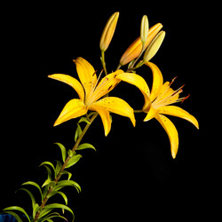 Similar image 6743609