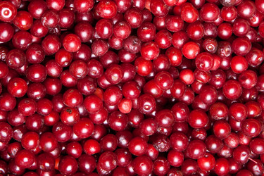 Similar image 6743610